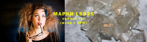 спиды Майский