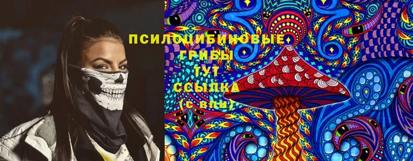 сатива Магадан