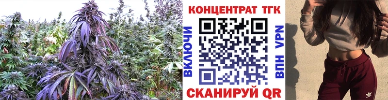 Дистиллят ТГК гашишное масло  купить наркотик  OMG как войти  Мураши 
